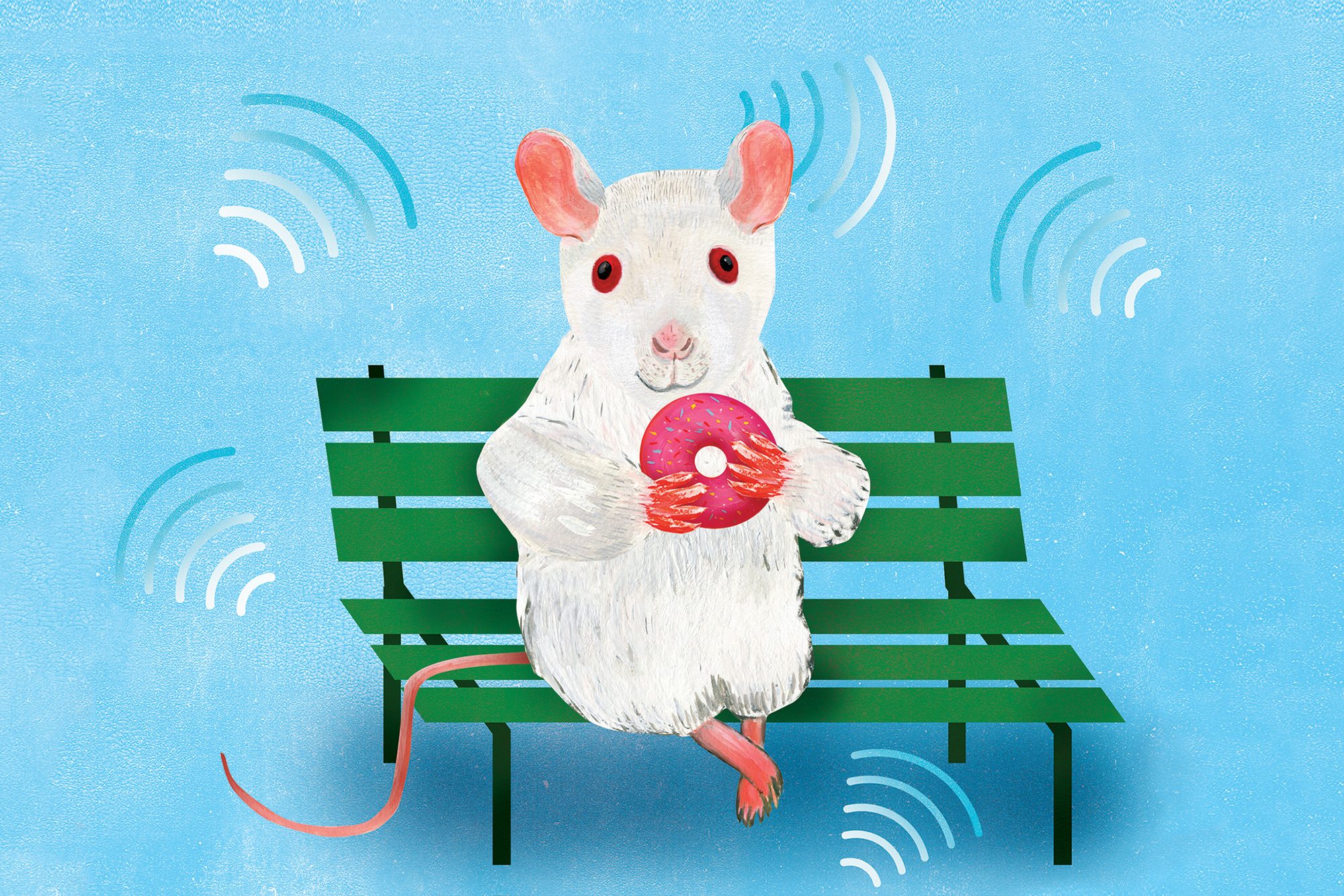 Bench mouse illustration