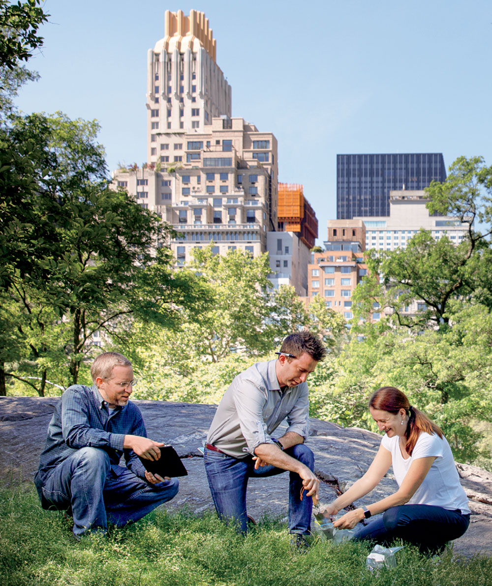 Brady lab digging in Central Park