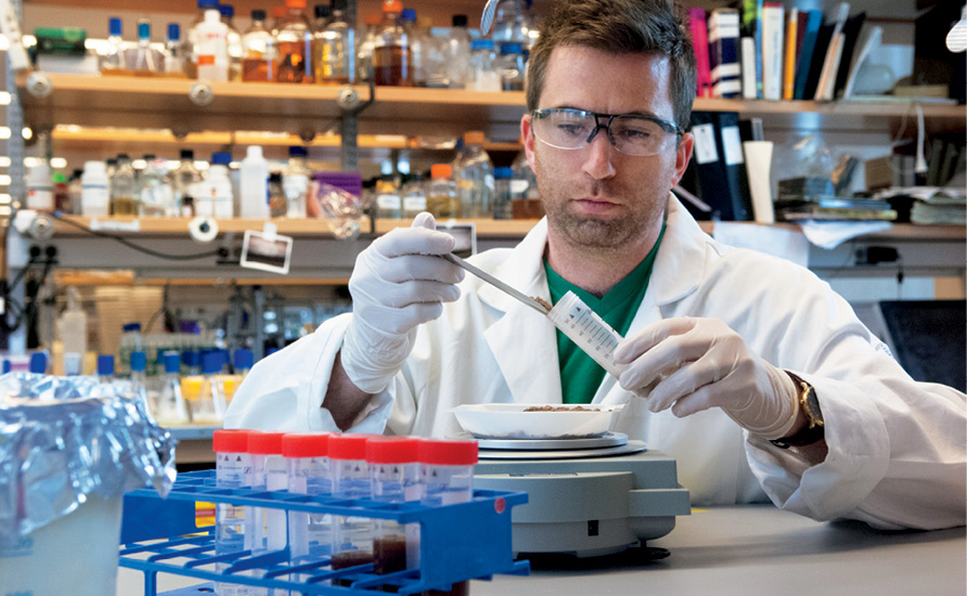 Zachary Charlop-Powers prepares dirt samples for sequencing.