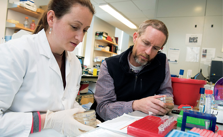 Sean Brady and research assistant Melinda Ternei sorting through cultures.