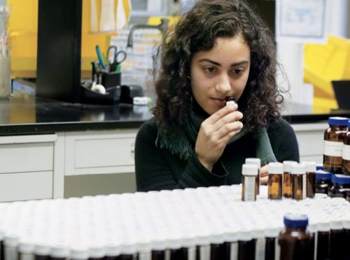 Volunteers sniffed vials containing everything from vanillin to stinky-cheese molecules.