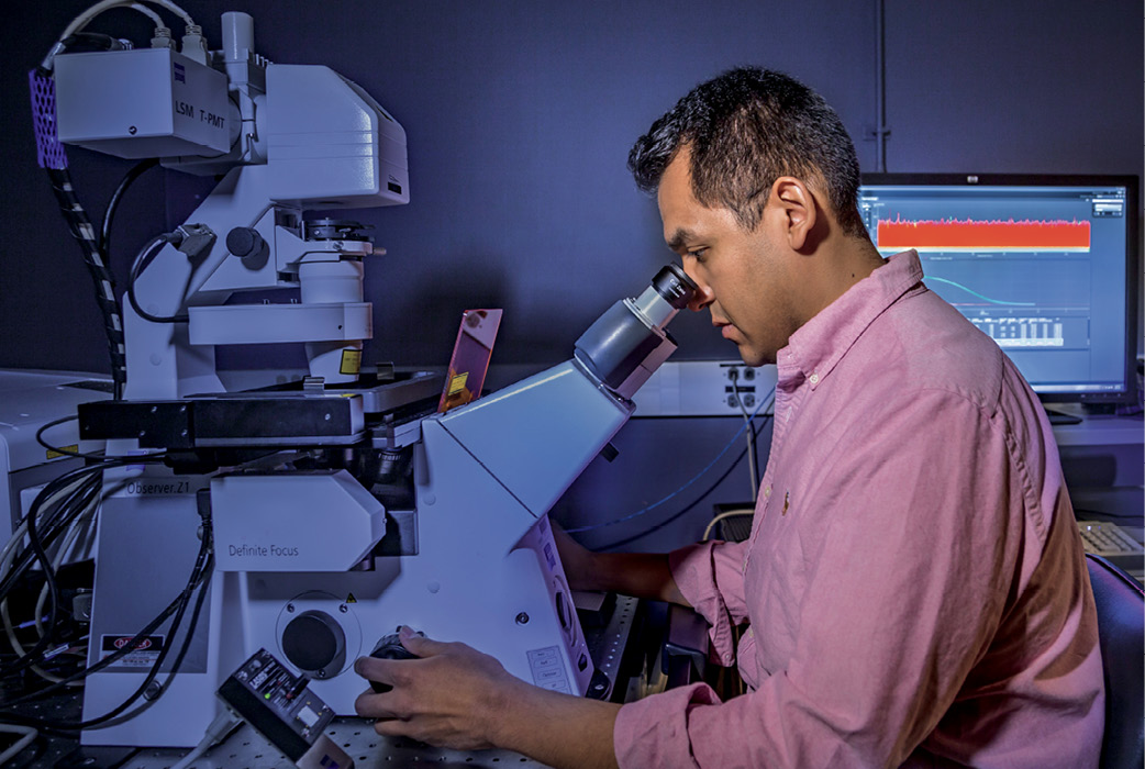 Rico, who graduated this spring, is now a microscopy specialist in the university’s bio-imaging facility.