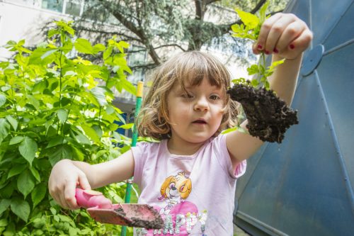 A garden where kids can grow