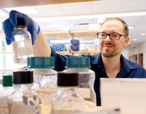 This enzyme heads off transcriptional catastrophe