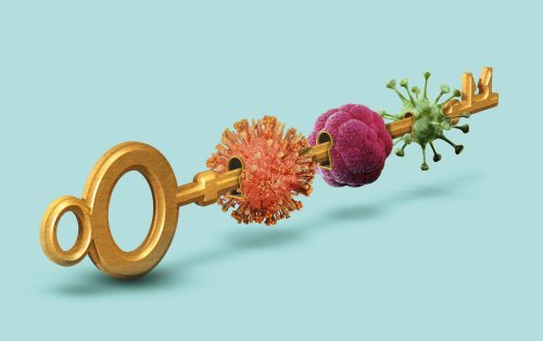 The key to better antivirals