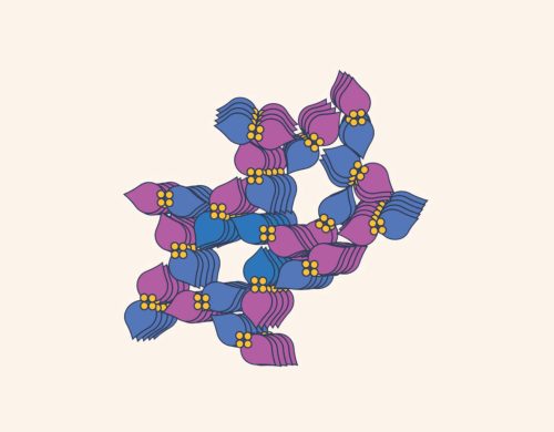 There’s more to CRISPR  than we knew