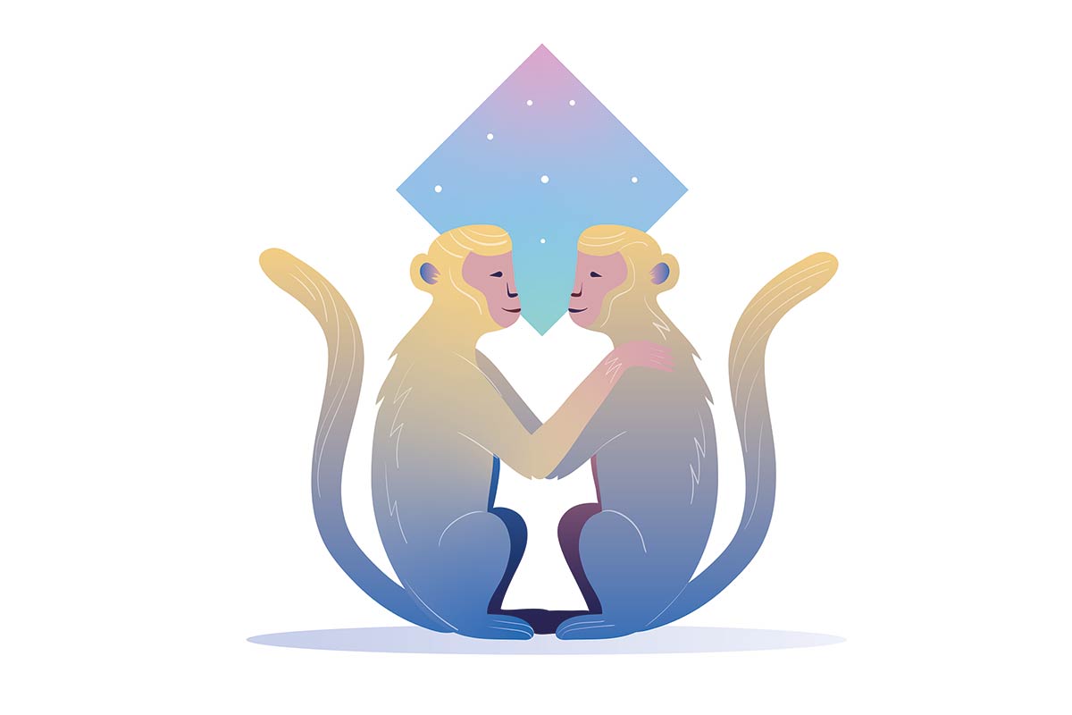 Illustration of two monkeys embracing