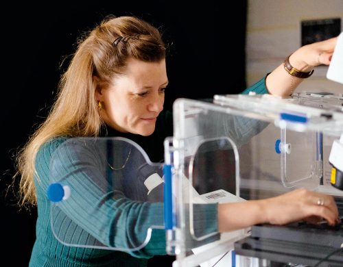 The link between brown fat and blood pressure