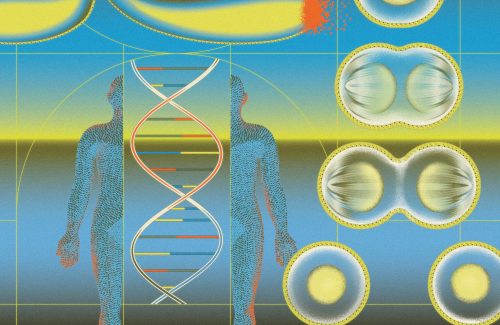 The Machinery of Life