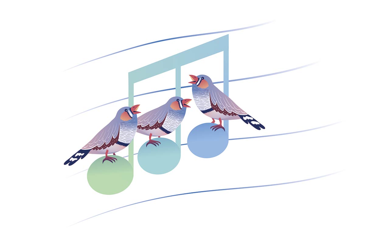 Illustration of songbirds singing perched on a music note
