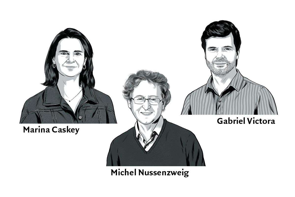 Portrait illustrations of Caskey, Nussenzweig, and Victora