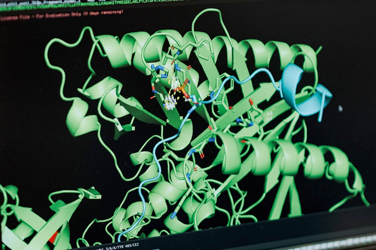 A green diagram on a screen