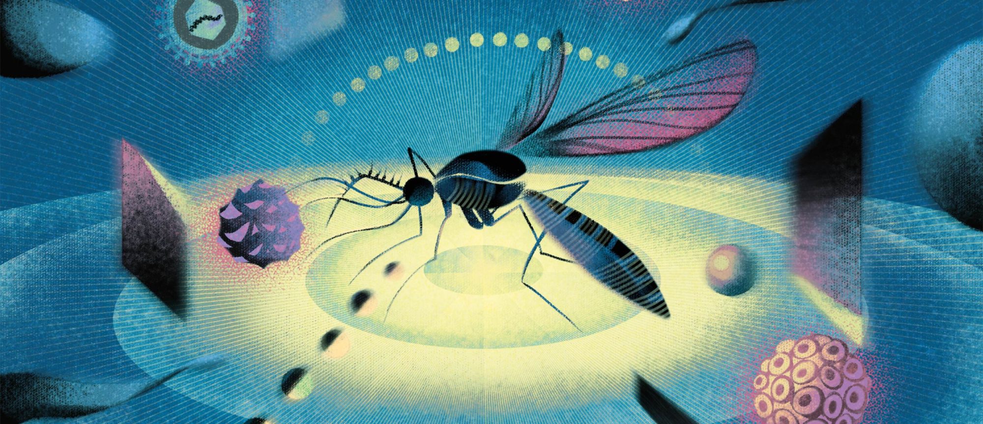 Decoding the world’s deadliest animal