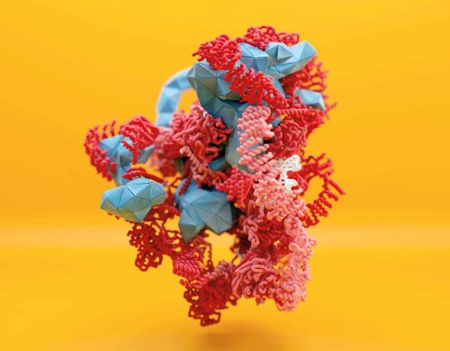 How to build a ribosome