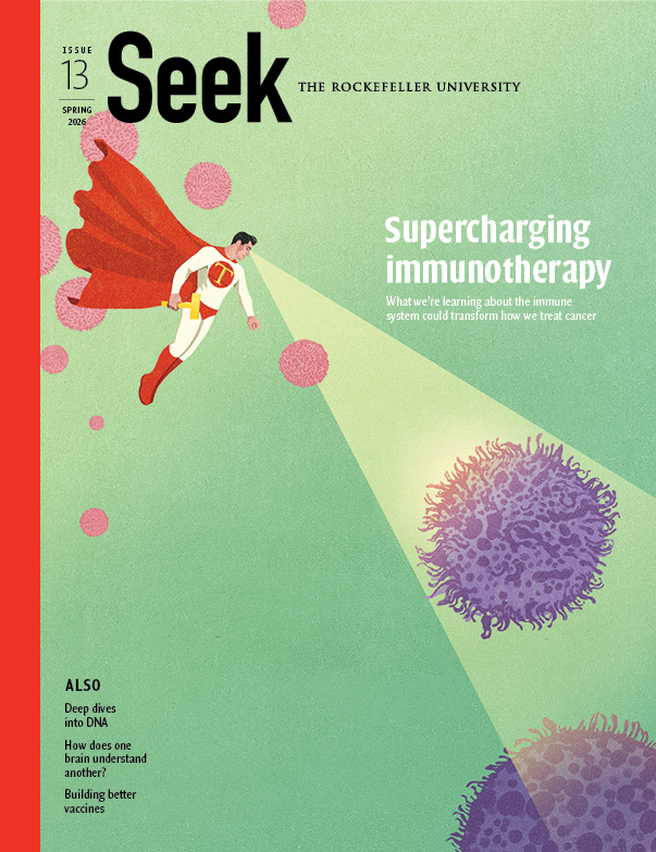 Seek Cover: Issue 01 Spring 2017