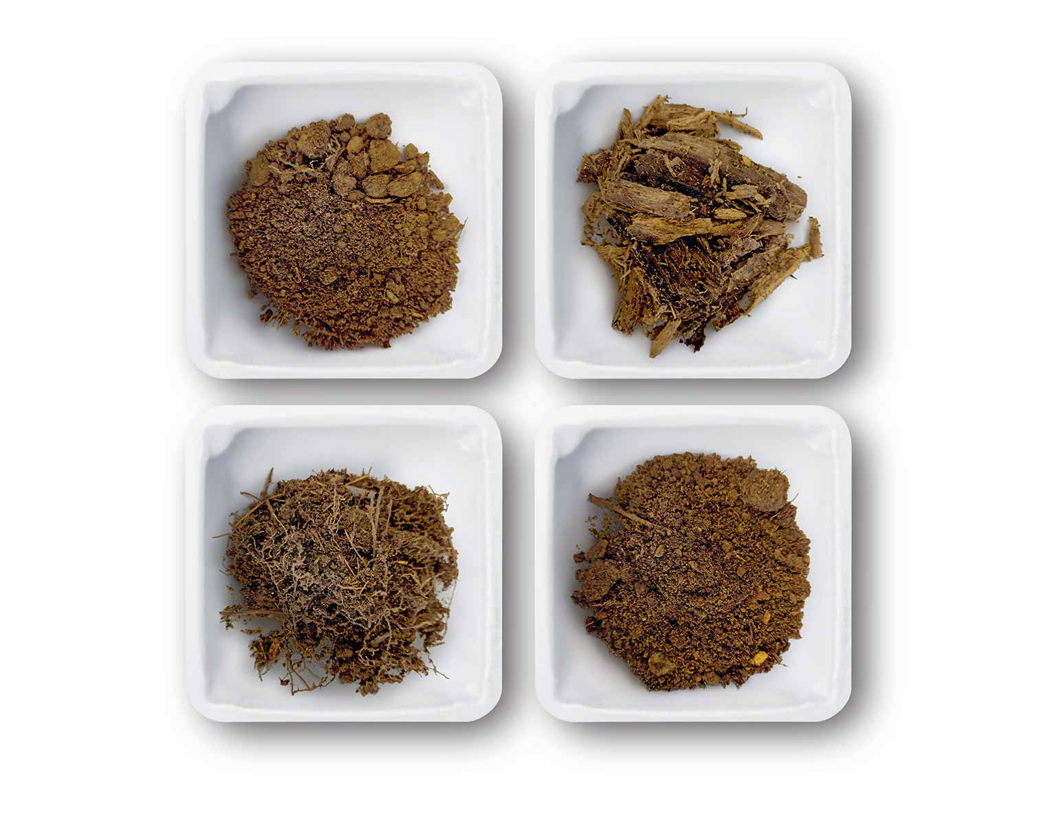 The uncultured majority