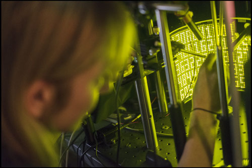 In Maimon’s lab, scientists use panels of LEDs to create a virtual reality environment for fruit flies.