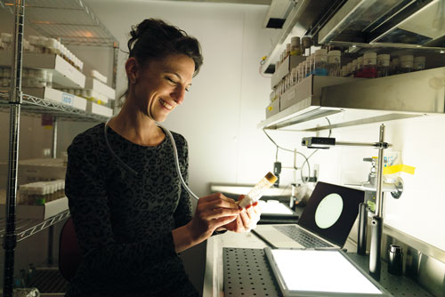 In Maimon’s lab, scientists use panels of LEDs to create a virtual reality environment for fruit flies.