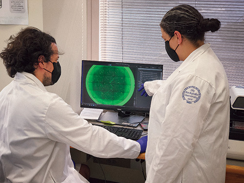 Postdocs Fabian Schmidt and Yiska Weisblum in the Bieniasz lab in August.