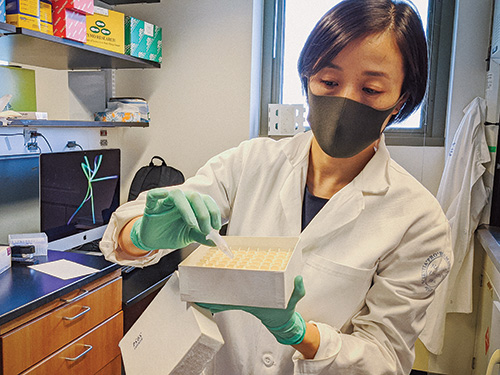 Zhang in the Casanova lab in June.