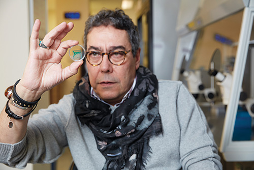 Pinched between his thumb and forefinger, on a round sliver of glass no bigger than a potato chip, Ali H. Brivanlou holds 10,000 human embryos arranged in a neat grid.