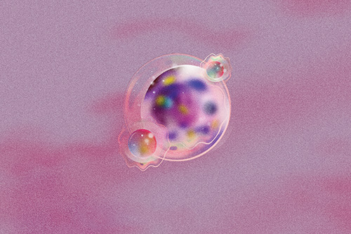 a stem cell