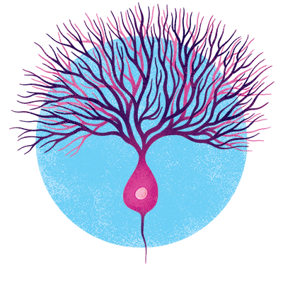 An illustration of a purkinje neuron.