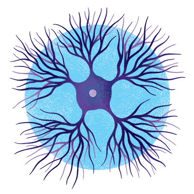 An illustration of a medium spiny neuron.