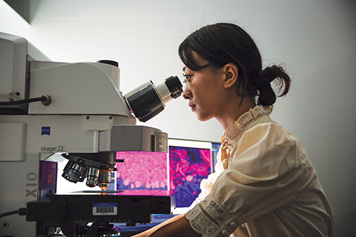 A woman uses a microscope in a lab.