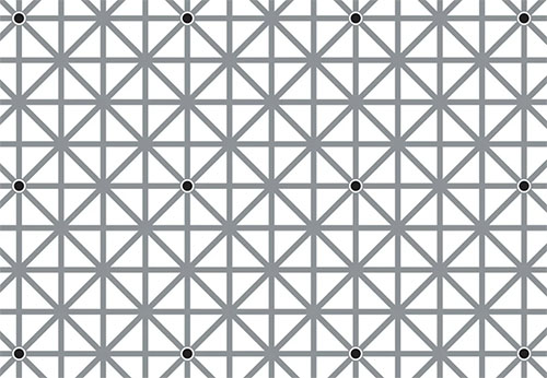 A grid of gray lines and black dots.